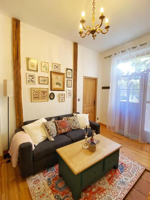 Cocon Cosy Dans La Ville Rose Toulouse Kültér fotó