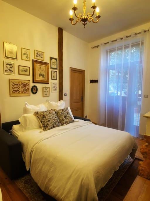 Cocon Cosy Dans La Ville Rose Toulouse Kültér fotó